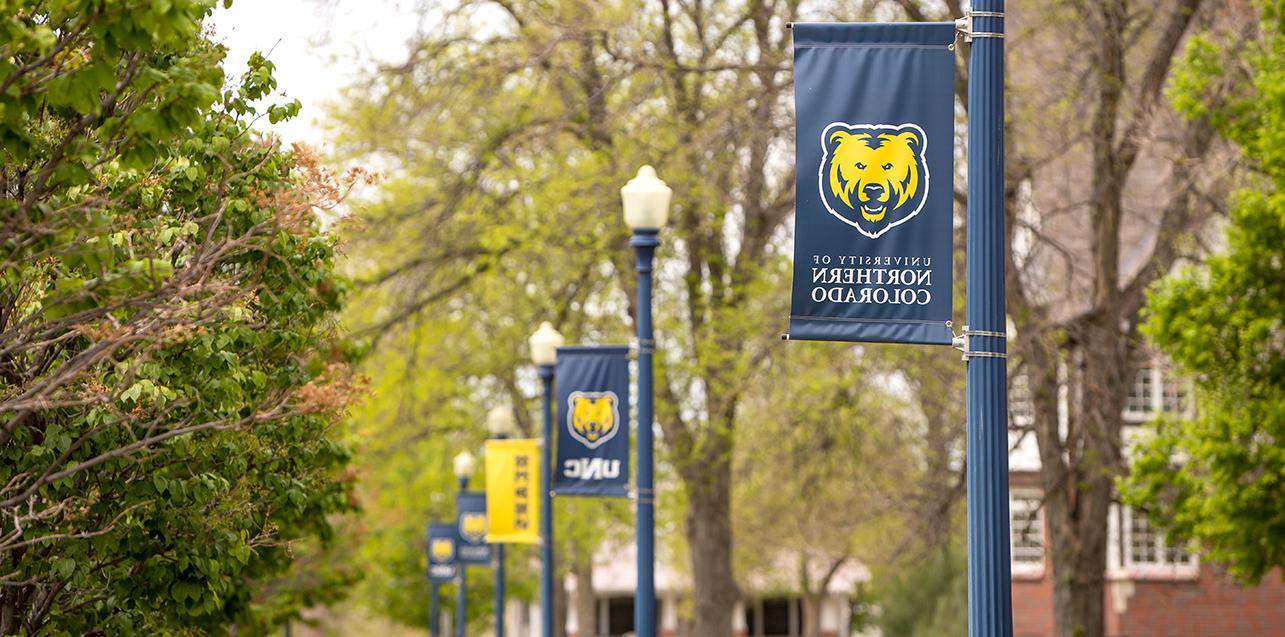 A row of blue and gold banners hanging on outdoor light pole with UNC name and Bear logo on them.